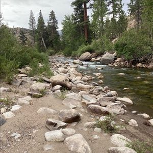 Meet your Posher, Paul